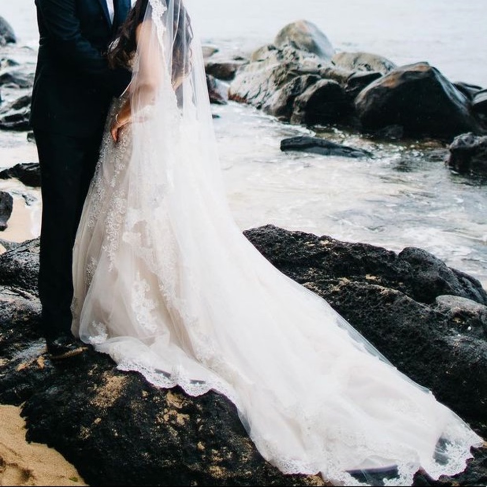 Bridal dress with bridal veil